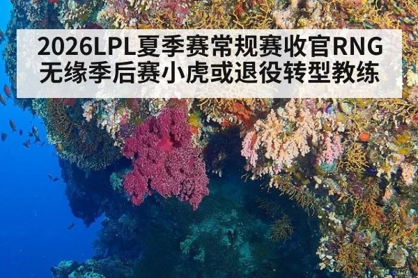 2026LPL夏季赛常规赛收官RNG无缘季后赛小虎或退役转型教练